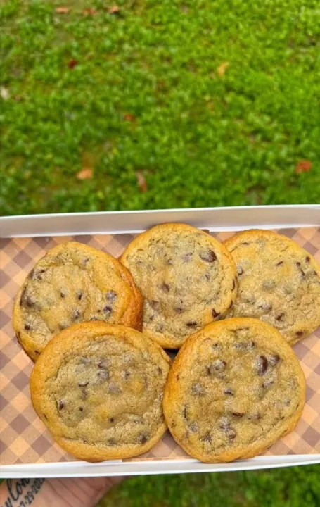 Chocolate chip cookie box