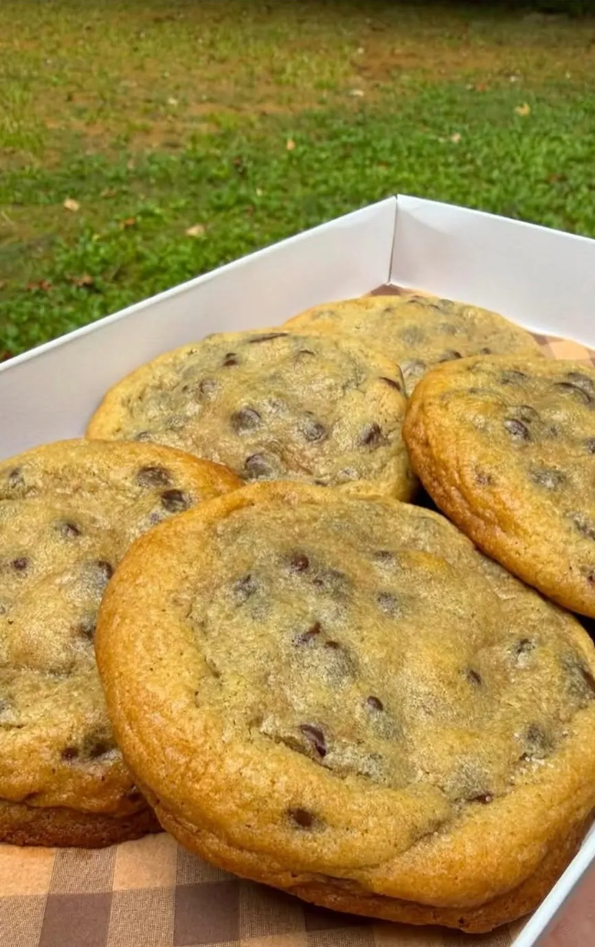 Chocolate chip cookies in a box
